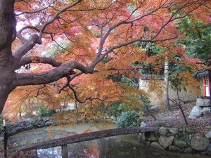 新薬師寺