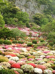 大船山楽園