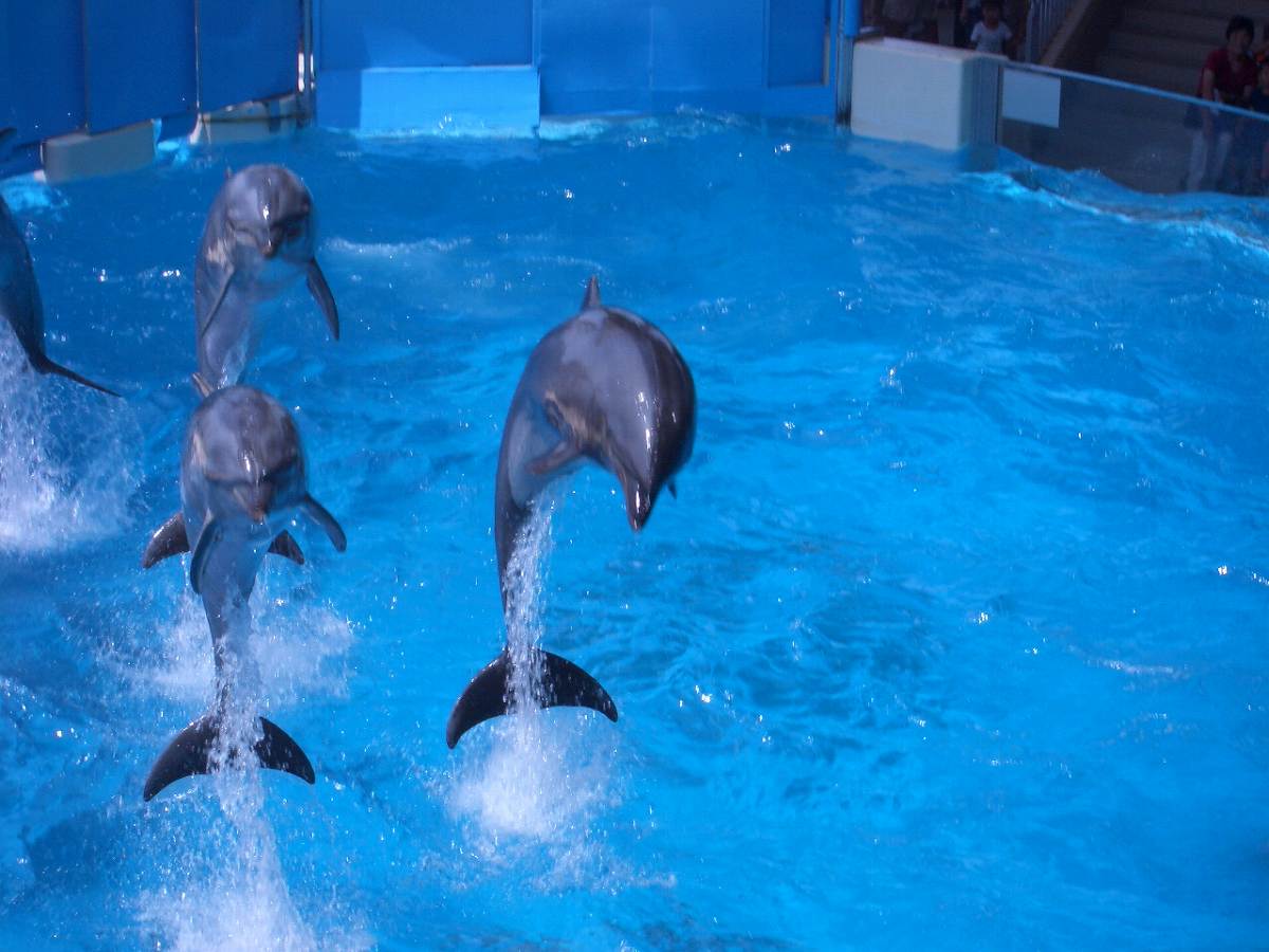 新江ノ島水族館