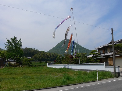 P1070691.jpg