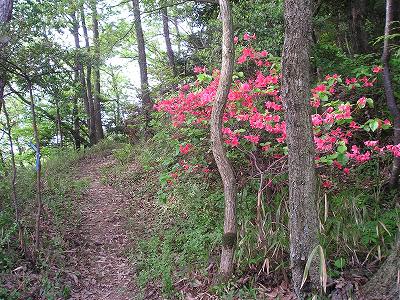 上佐山