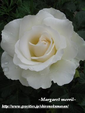 margaret merril