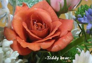 teddy bear