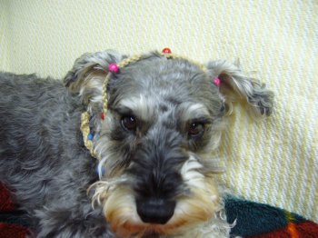mukku0430f.jpg