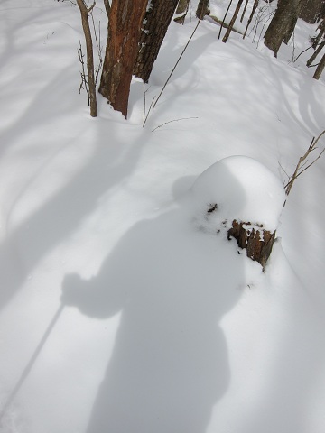 雪に影.jpg
