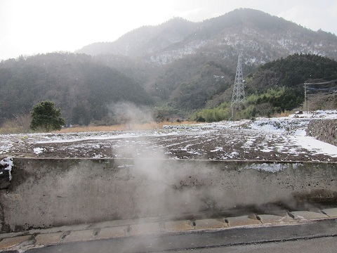 堀田.jpg