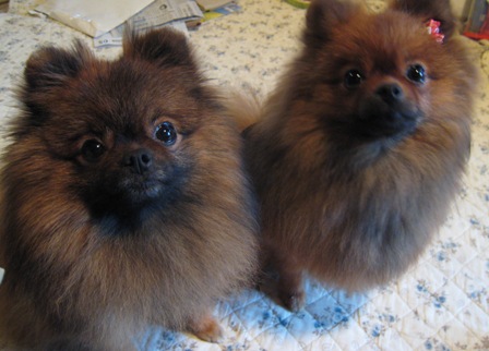 ひさびさのツーショット