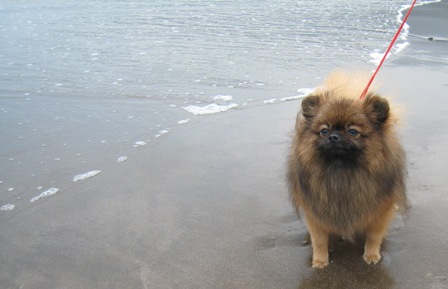 うみのにおいがしますぅ～