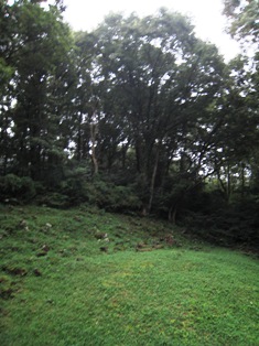 ペンションのお庭