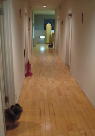 かくれんぼちゅうですぅ～