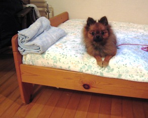 きもちいいおへやです