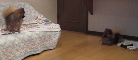 お部屋でくつろぎの時間