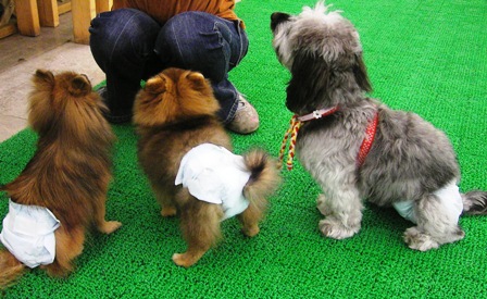 祝！初紙おむつ！！