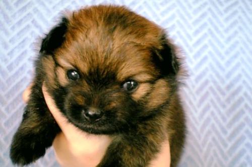 にゃによ~~!ねむいんですけどぉ!