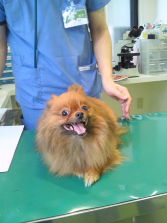 のの、診察中！