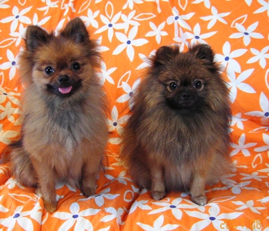 おやつに釣られてツーショット！