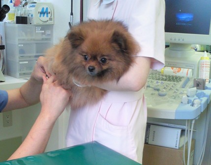 のの、爪きり中！