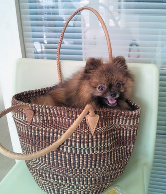 バックに入って一安心～