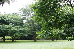 公園
