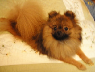 くるみ、しょぼい？