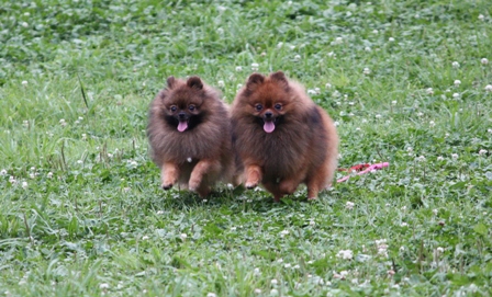 並んでダッシュ！！