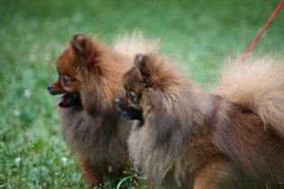 また公園で遊ぼうね!