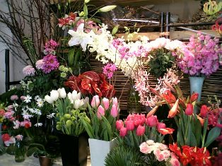 棚を埋め尽くす季節のお花