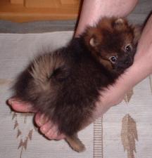 お気に入りの場所