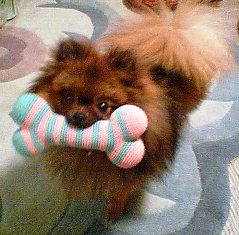 これであそぶの！