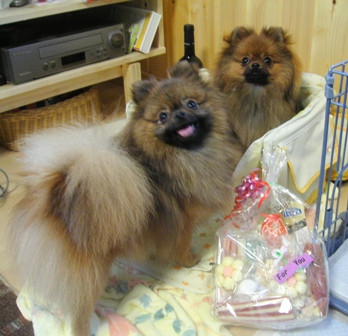 おばちゃん！ありがと～