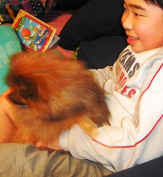 おにーちゃんひさしぶりだね