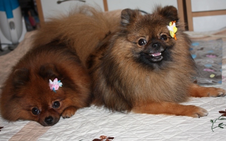 二人でのってます！