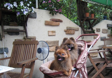 レストランで一休み