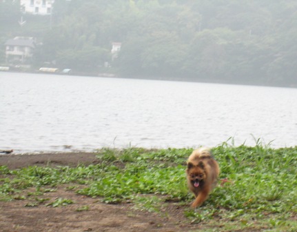 「のの」のだゅしゅ！