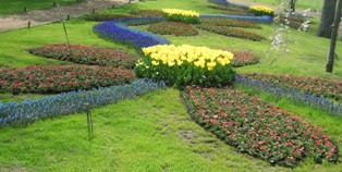 チューリップガーデン