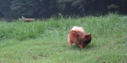 「くるみ」伊豆に行ってきました～