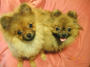 らいねんもよろしくね～☆