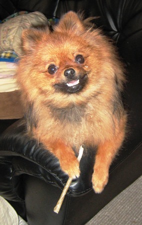 片手にガムの「のの」