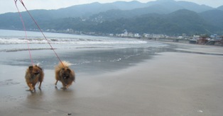 しょっぱいお水でした～