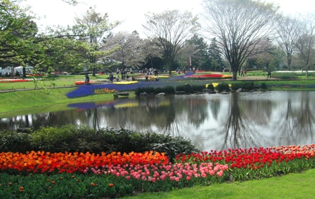 チューリップガーデン
