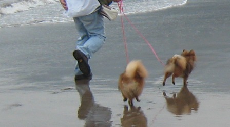 はじめての海だね～