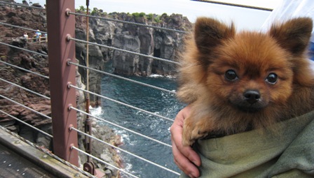 なんかたか～い