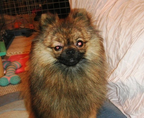 あの~なにかおかしいですか?