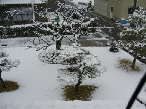 雪やこんこん