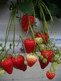 20100307_05