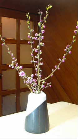56 桃の花 掛け分け花瓶 いつも 花一輪ある生活を 楽天ブログ