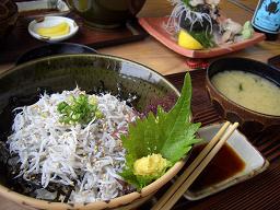 しらす丼