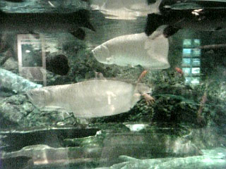 世界の大河から2