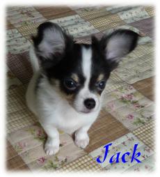 Jack