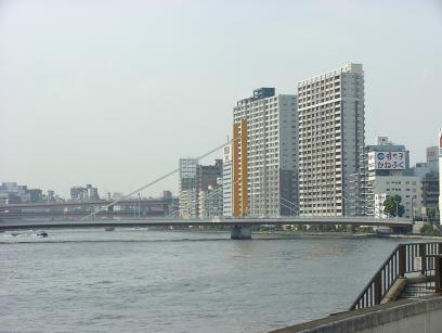 P1010284新大橋.JPG